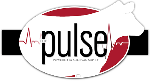 The Pulse Blog