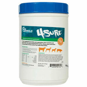 4SURE® 3lb Jar by Sunglo