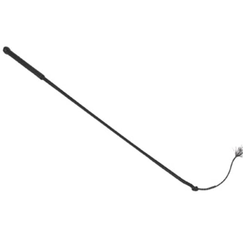 HOG WHIP
