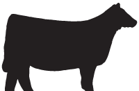 Cattle Icon