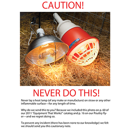 Prima Heat Lamp Sullivan Supply Inc, Are Red Heat Lamps Safe For Dogs