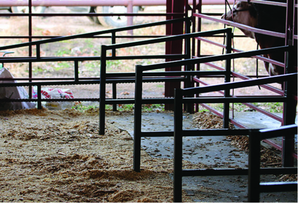 Steel shorty stall divider