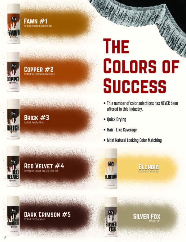 Touch-Up Paint - Image 2
