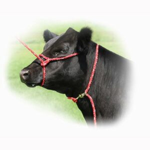 Rope Halters & Neckties