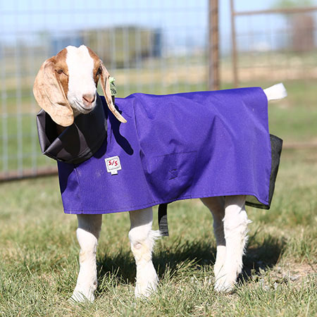 PERFORMANCE GOAT BLANKET- SOLID
