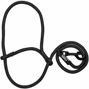 Halters & Collars