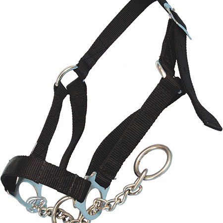 Nylon cattle collars online