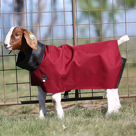 PERFORMANCE GOAT BLANKET- SOLID - Image 2