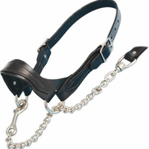 cruise control cable halter