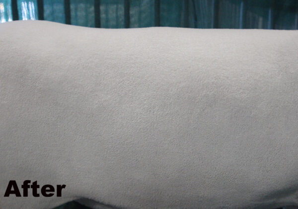 Sugar Coat, 32oz - Image 5