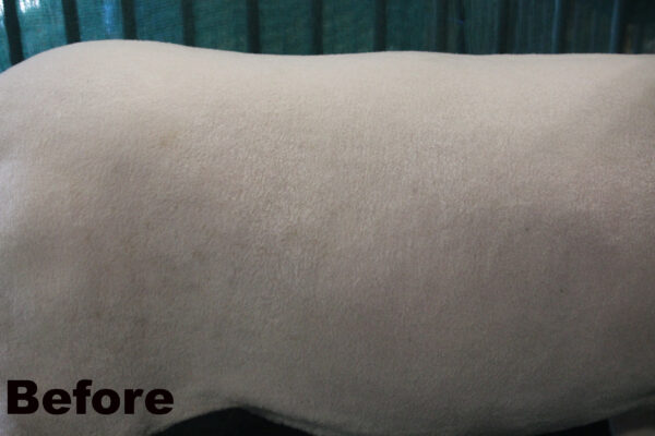 Sugar Coat, 32oz - Image 2