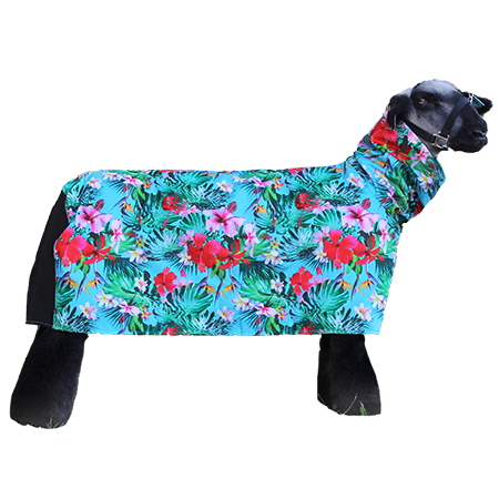 TOUGH TECH SHEEP BLANKET- – Sullivan Supply, Inc. TOUGH TECH SHEEP BLANKET- – Sullivan Supply, Inc.
