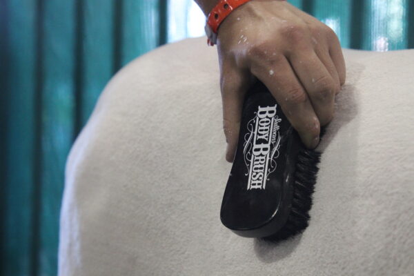 The Body Brush - Image 3