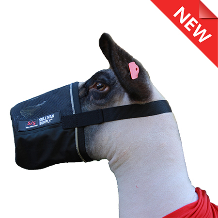 sheep muzzle