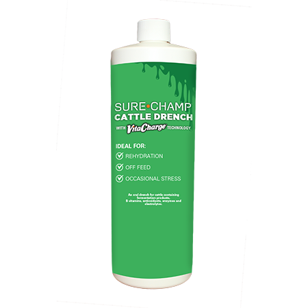 Sure Champ® Cattle Drench