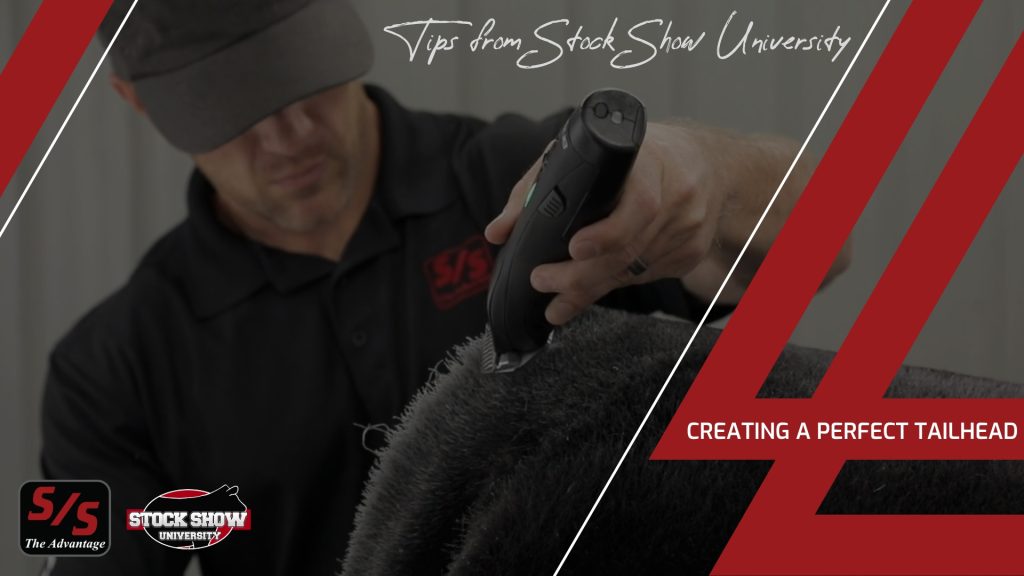 Creating A Perfect Tailhead | Tips From Stock Show University 1 Creating a perfect tailhead 1