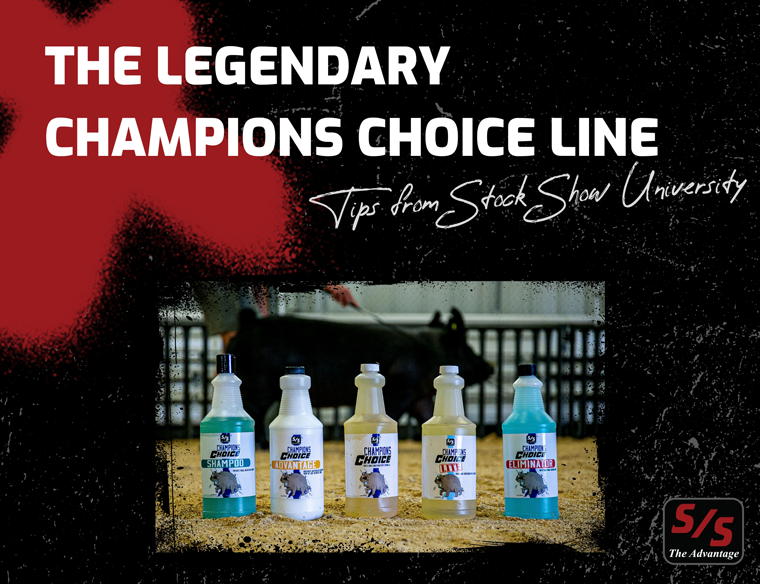 The Legendary Champions Choice Line | Tips From Stock Show University 1 Website champions choice 2 1