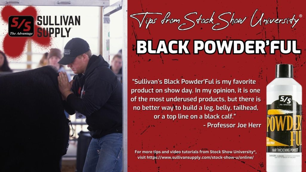 Black powderful ssu tip 1 3