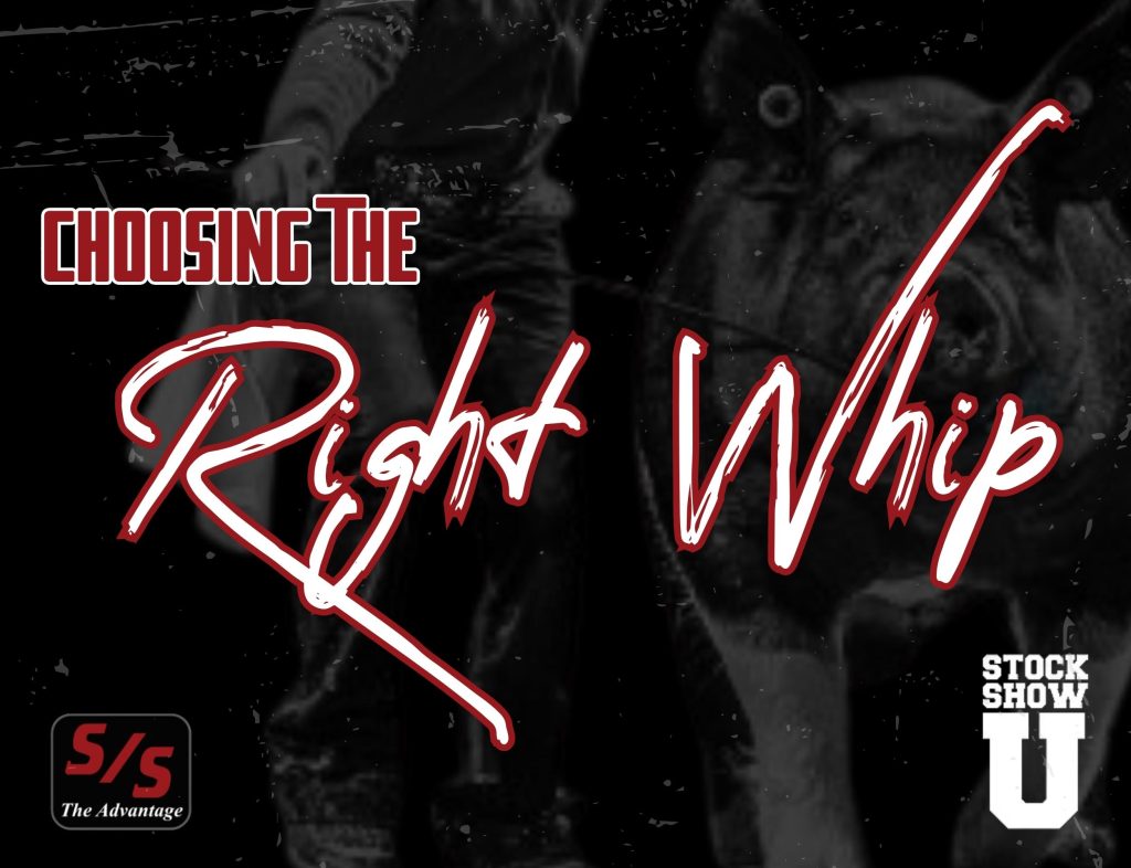 Choosing The Right Whip | Tips From Stock Show University® 1 Choosing the right whip 1