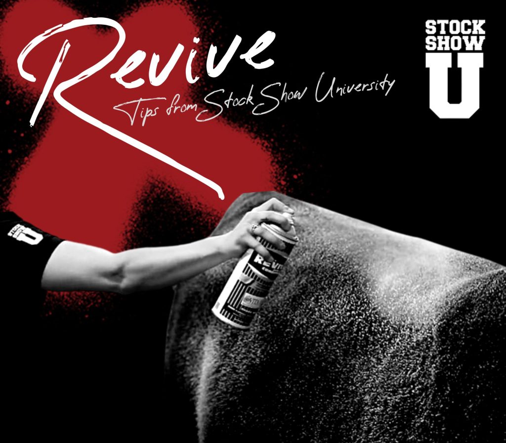 Revive | Tips From Stock Show University® 1 Revive tips from stock show u scaled 1
