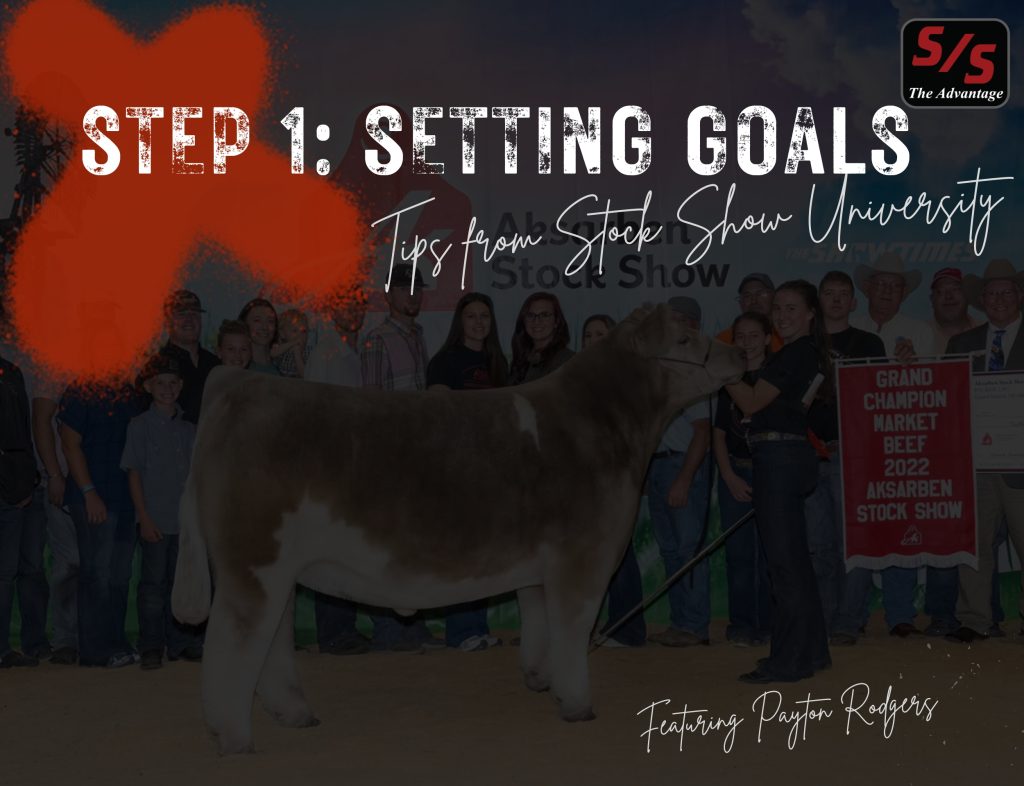 Step 1: Setting Goals | Tips From Stock Show University® 1 Step 1 setting goals 1