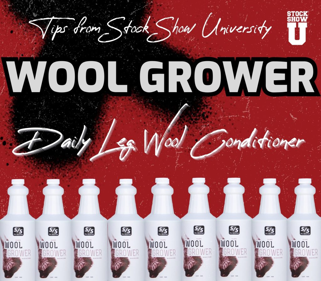 Wool grower tips from stock show u scaled 2