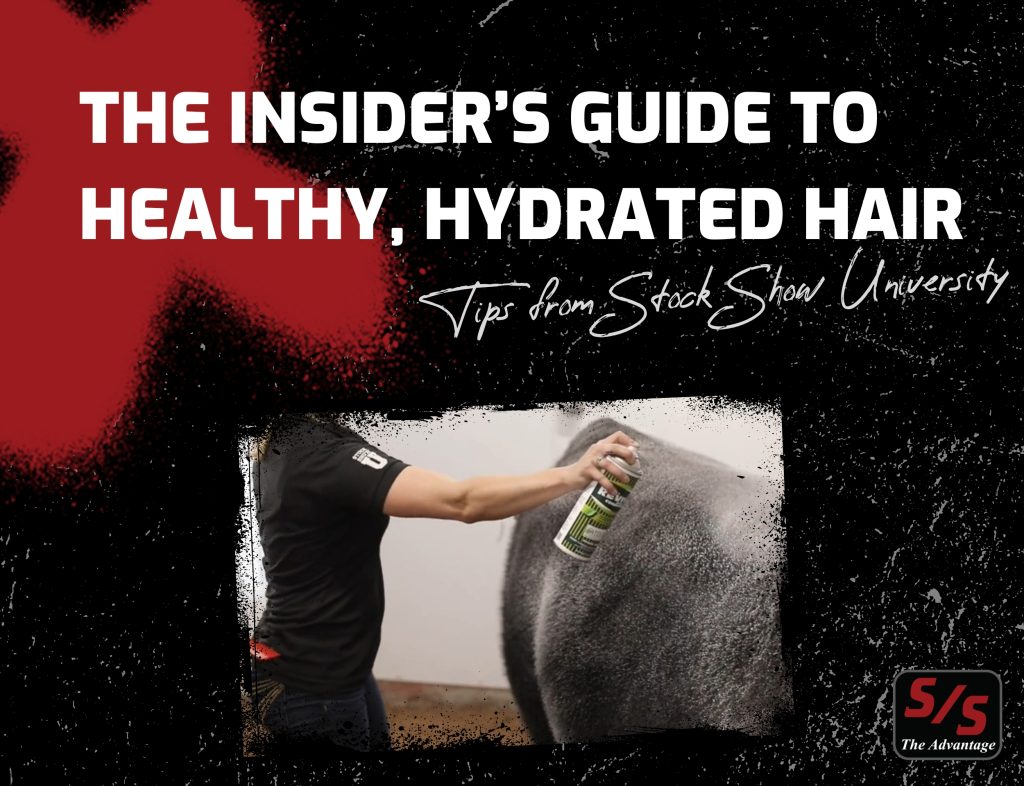 The Insider’s Guide To Healthy, Hydrated Hair | Tips From Stock Show University® 1 Healthy hydrated hair