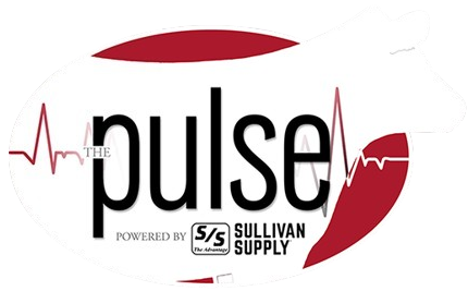 View The Pulse
