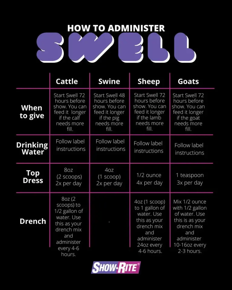 Swell 20lb by show-rite - image 4