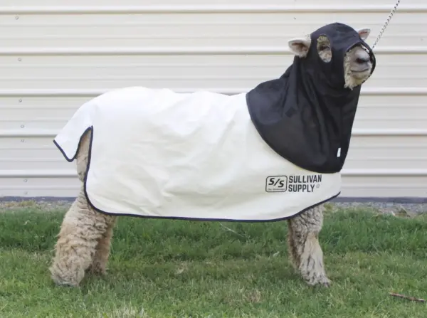 Air max hood