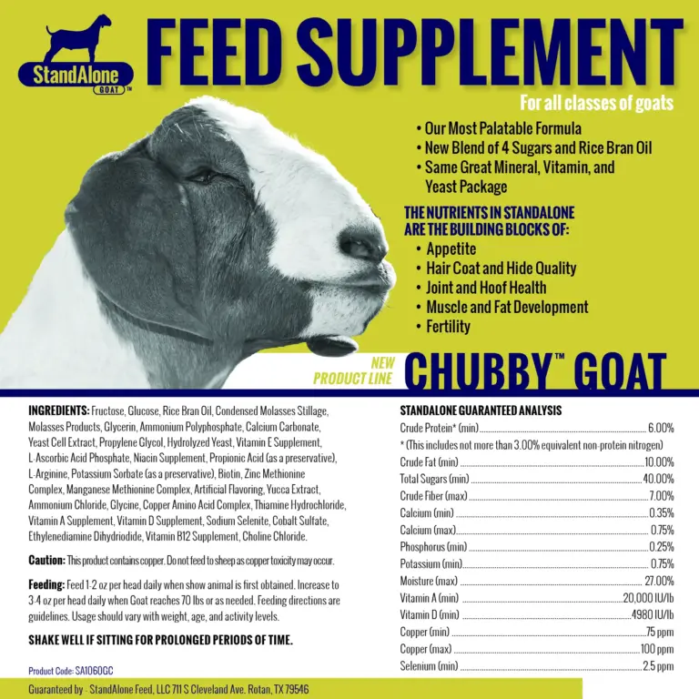 Stand alone chubby goat 1 gal - image 2