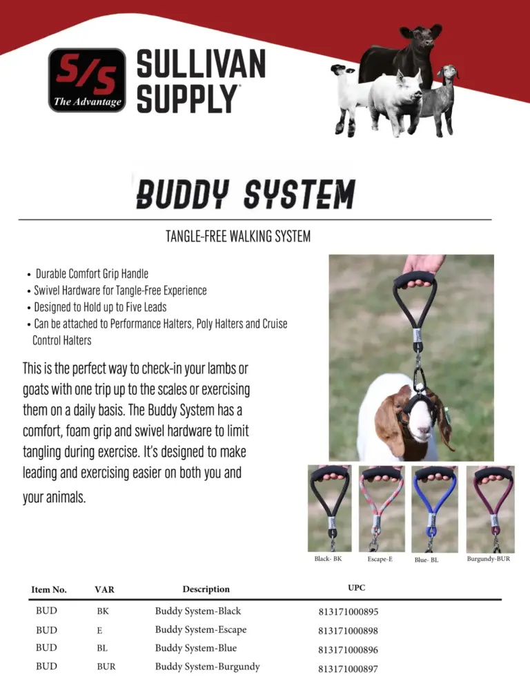 Buddy system - image 2