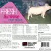 Fresh & Feminine Fast Track Pigs, 10lb - Image 2