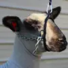 Lamb Breaking Halter - Image 2