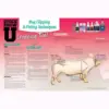 Starter Pack -Hog - Image 6