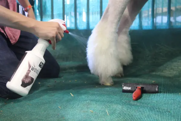 Wool grower