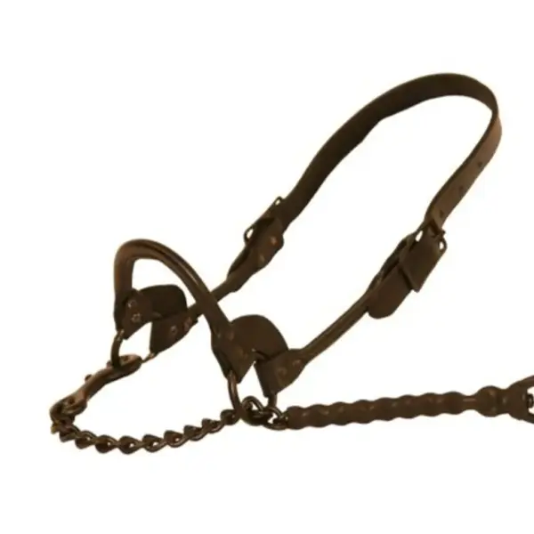 1st-class show halter™