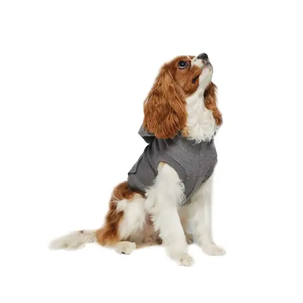 Sullivan's doggie 3-end fleece hoodie