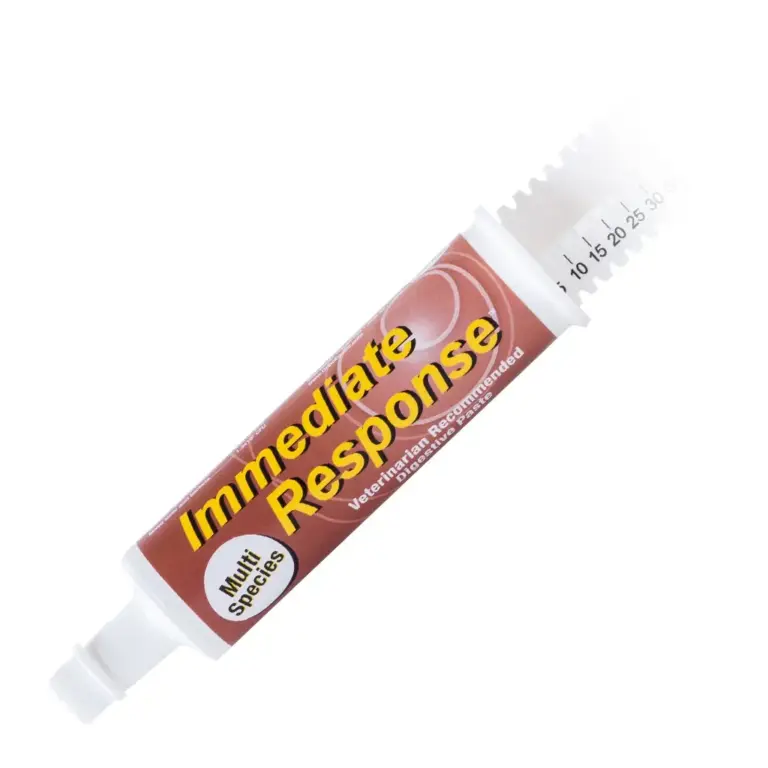 Immediate response paste