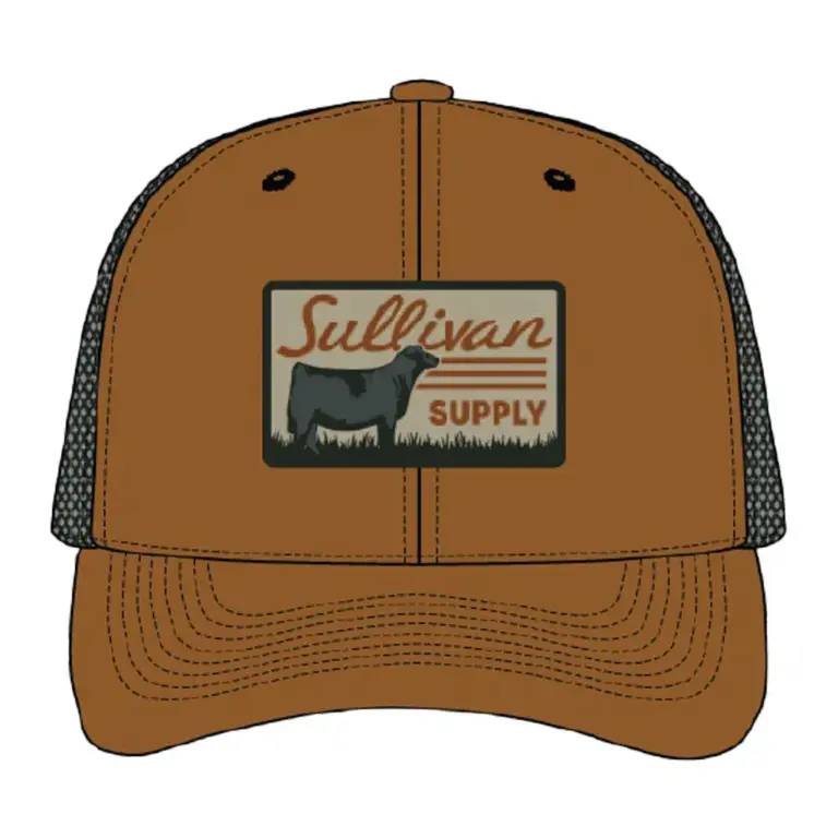 Sullivan's mesh snapback hat