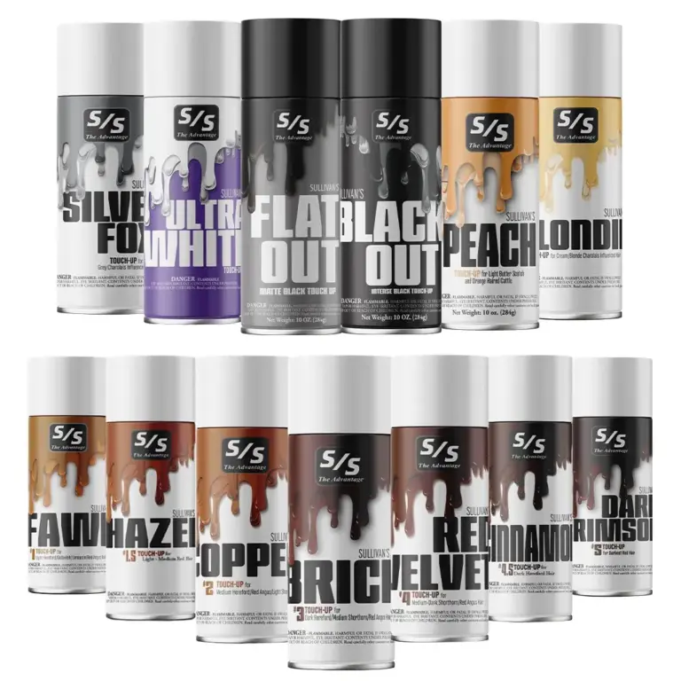 Touch-up paint