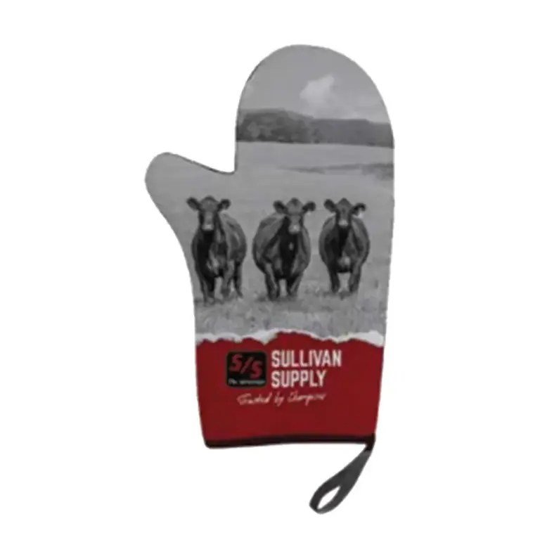 Oven mitt