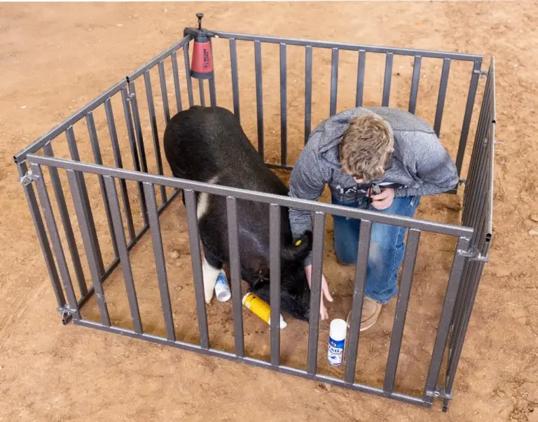 Sullivan's portable pig fitting pen - image 3