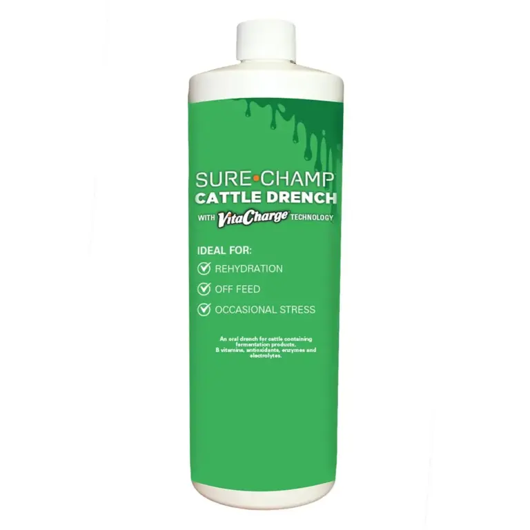 Sure champ® cattle drench