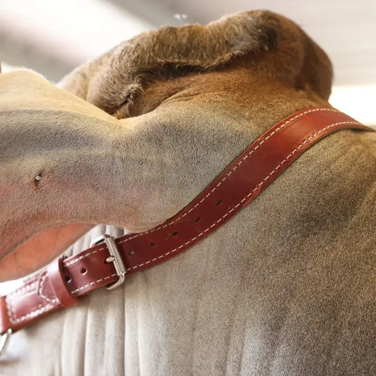 Sullivan's heritage show halter - image 6