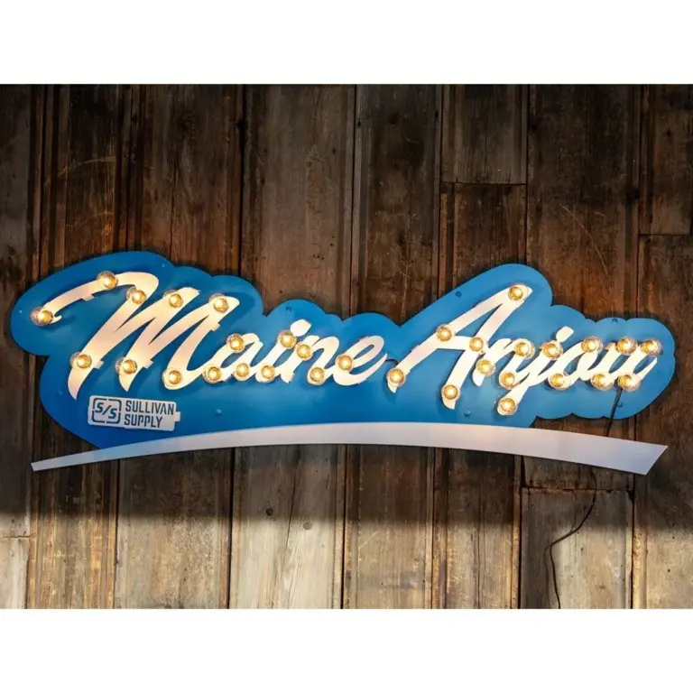 Breed 3d lit sign- maine anjou