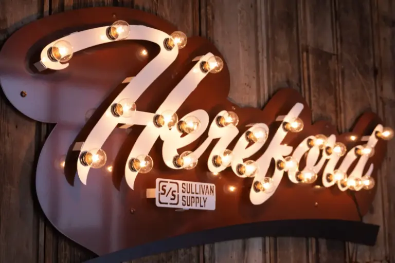 Breed 3d lit sign- hereford - image 3