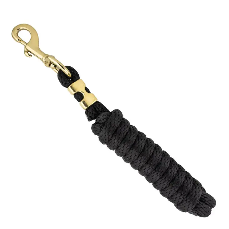 Lead with Brass Snap