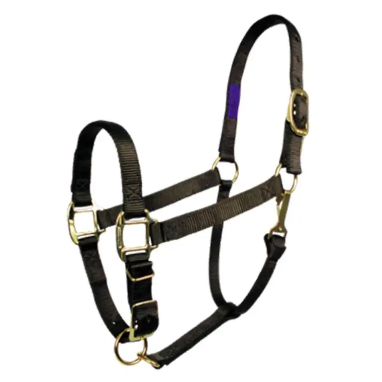 Nylon Horse Halter