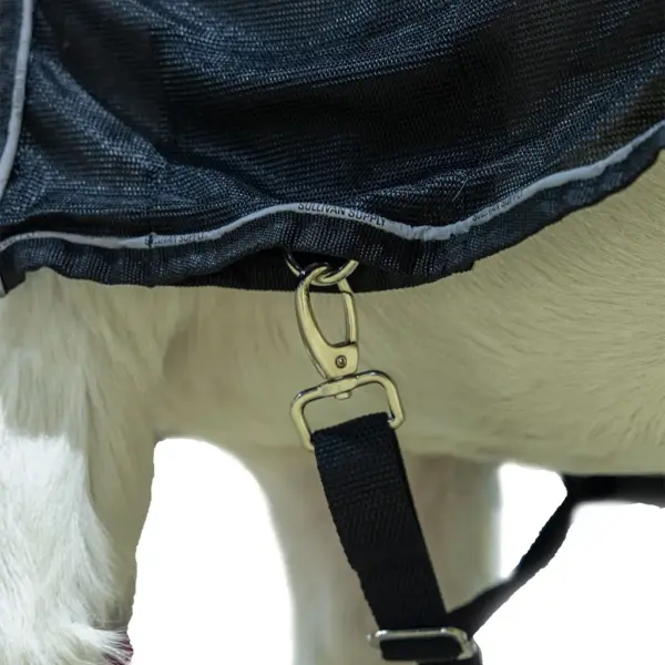 Cool Tech Zipper Goat Blanket